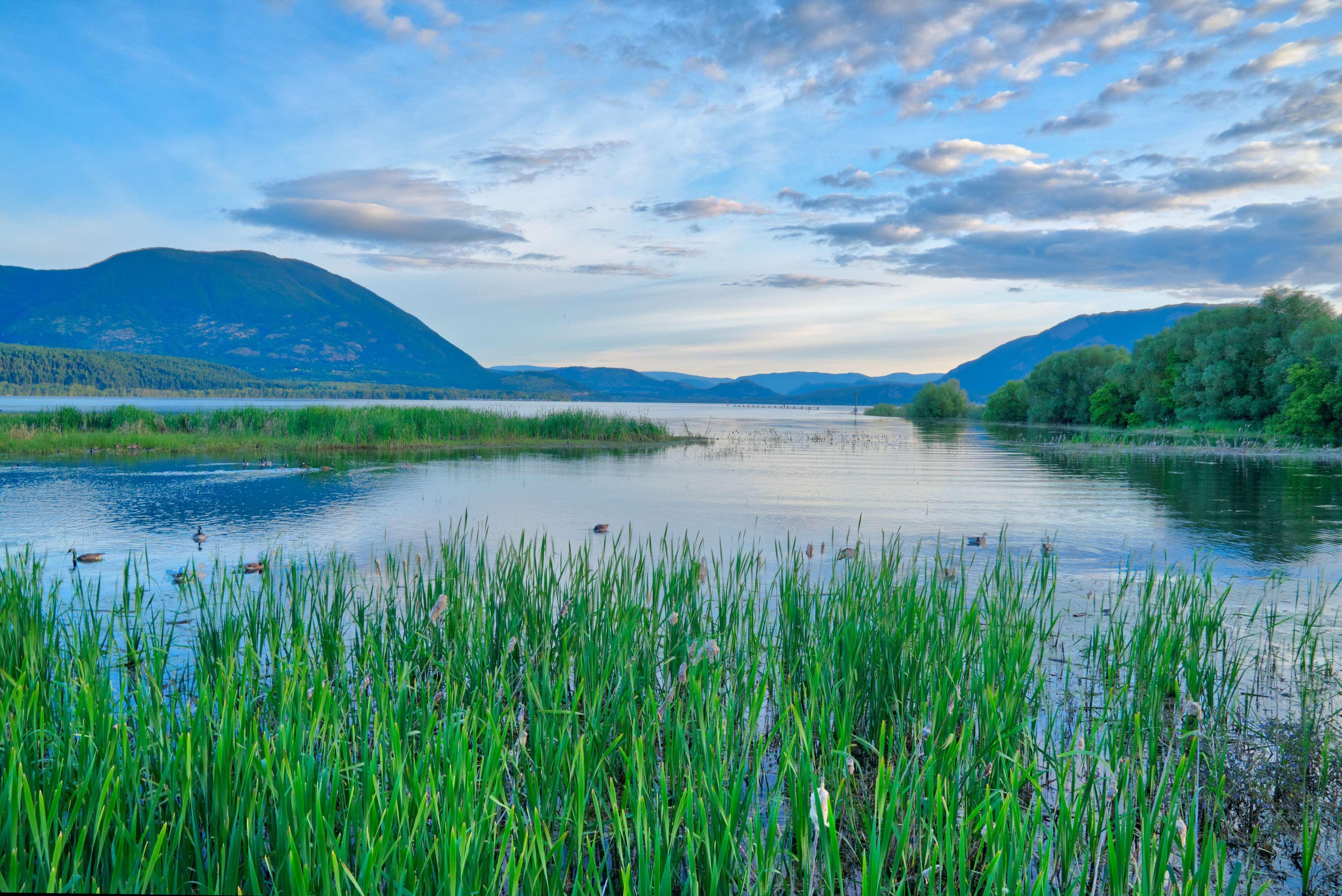 Prestige Harbourfront Resort, Worldhotels Luxury Salmon Arm Exteriér fotografie